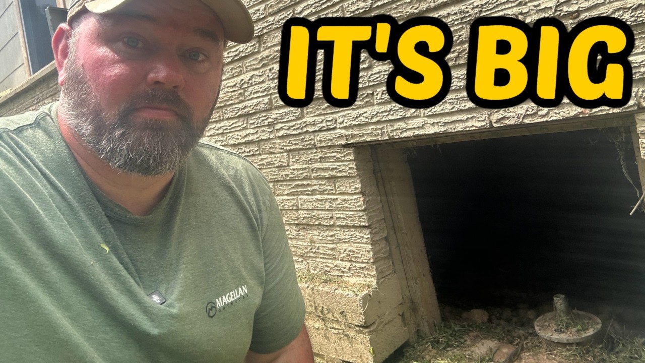It’s  Living Under The Floor Boards Of My House, It’s Big & It's Alive! 