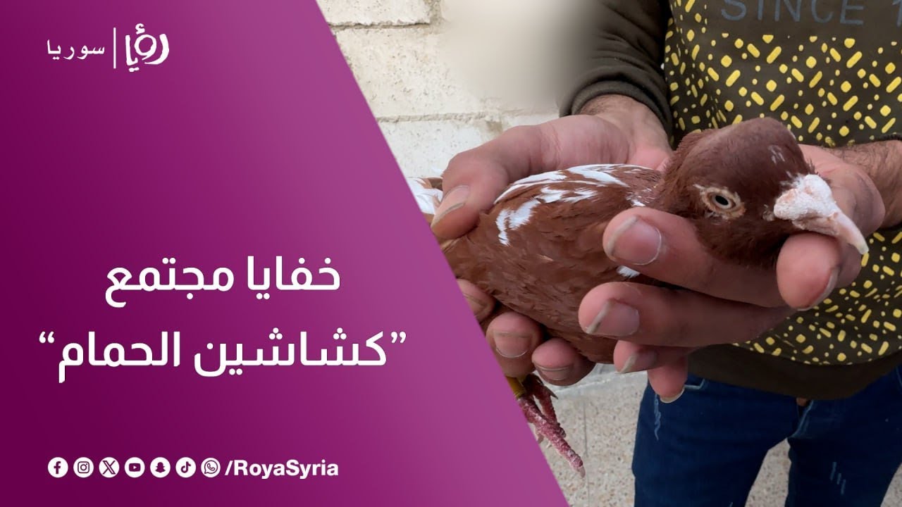 بيتعاطى مخدرات وبيتلصص على الجيران! أفكار متداولة عن الحميماتية أو 