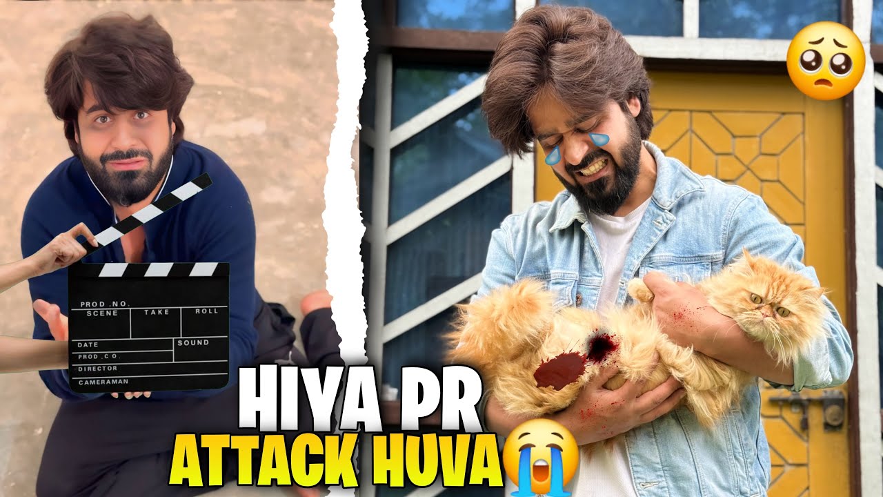 Hiya Injured Huvii !! 😱🐾 | HIYA PR ATTACK HUVA 😭💥This is HOW we SHOOT our VIDEOS📸📷