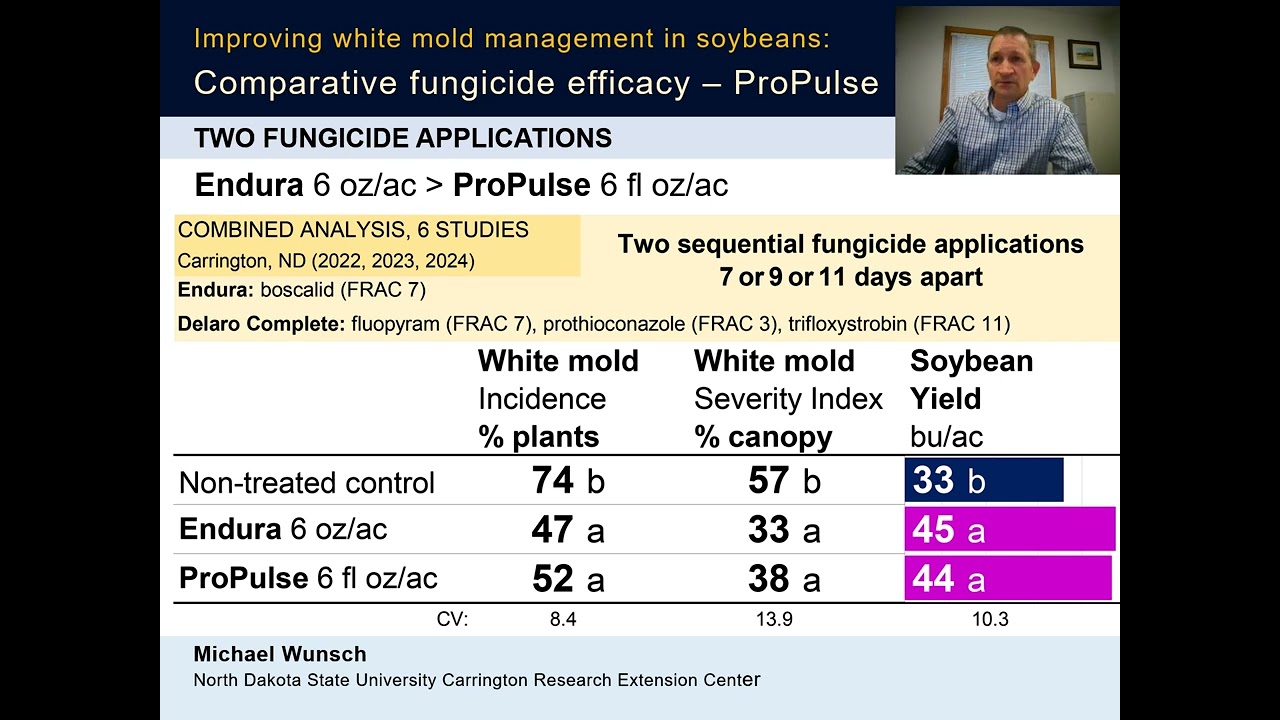 2025 Soybean PROPULSE White Mold Fungicide Efficacy VIDEO