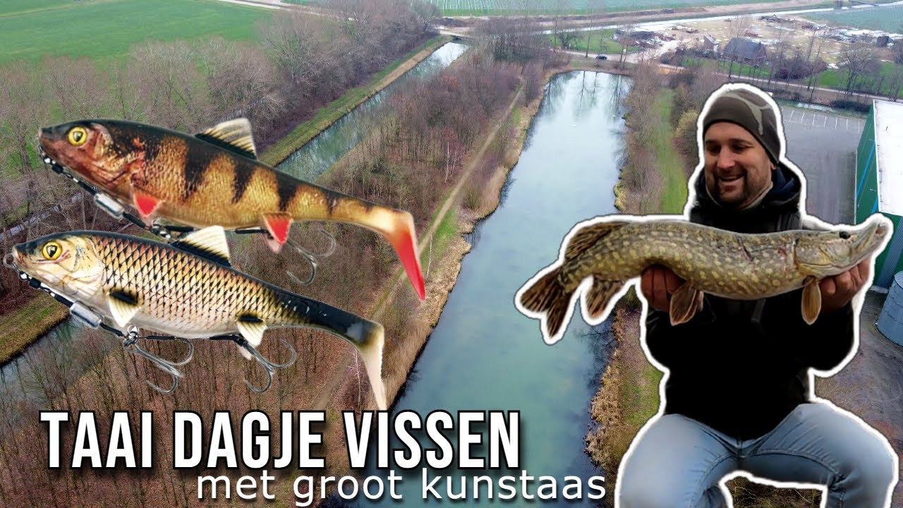 Snoeken met koud weer. (Groot Kunstaas)