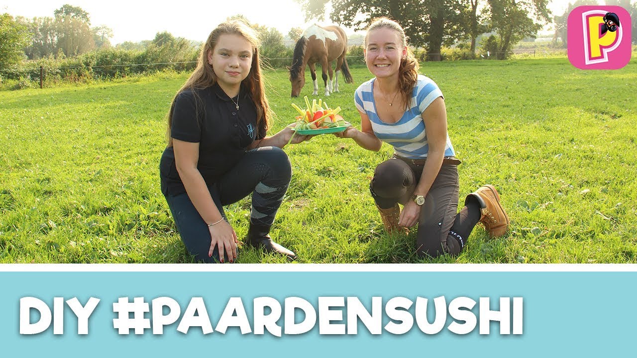 PaardenSushi maken met Felinehoi - Marley lust het niet!  | Blooper DIY | Penny TV
