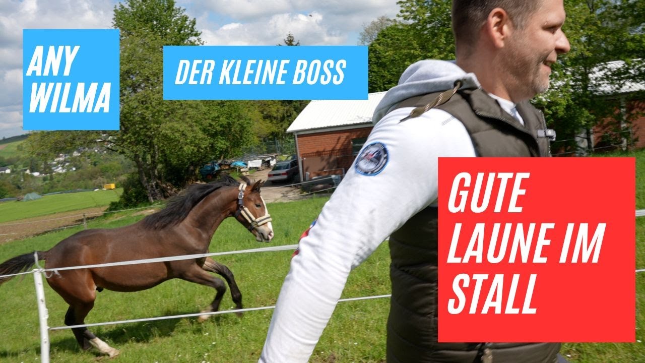 Oh oh Basti hat gute Laune ?