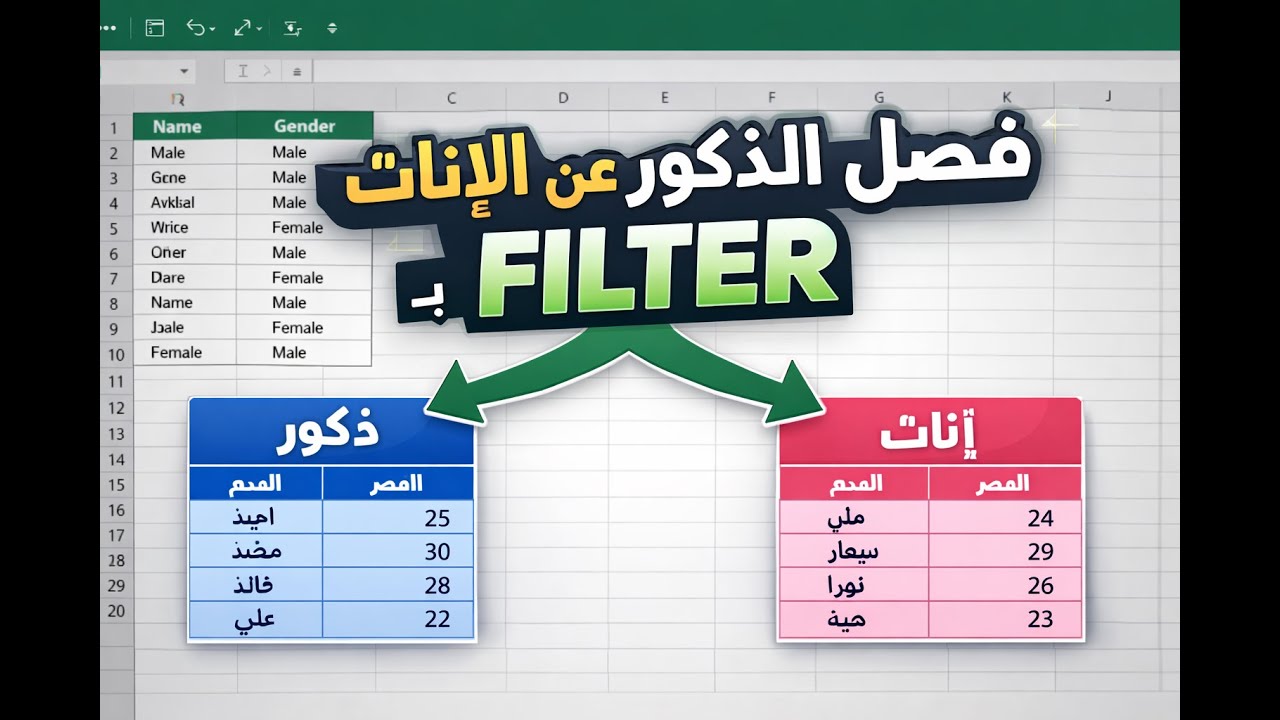 فصل الذكور عن الإناث تلقائيًا في Excel  باستخدام دالة FILTER