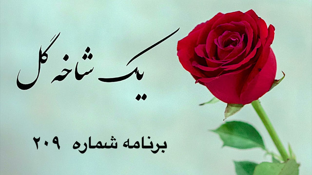 یک شاخه گل برنامه شماره ۲۰۹|Sazo Avaz