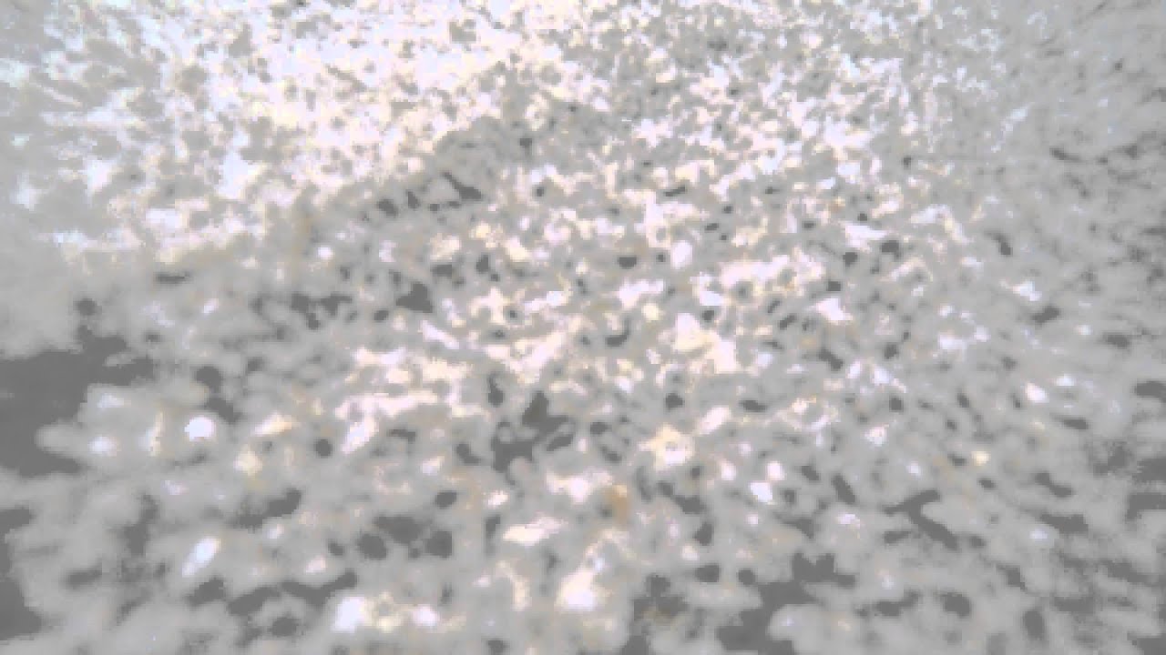 Lost and found Gopro Under sea water