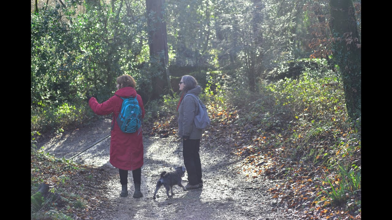 Take a walk on the wildside through the Lost Gardens of Heligan
