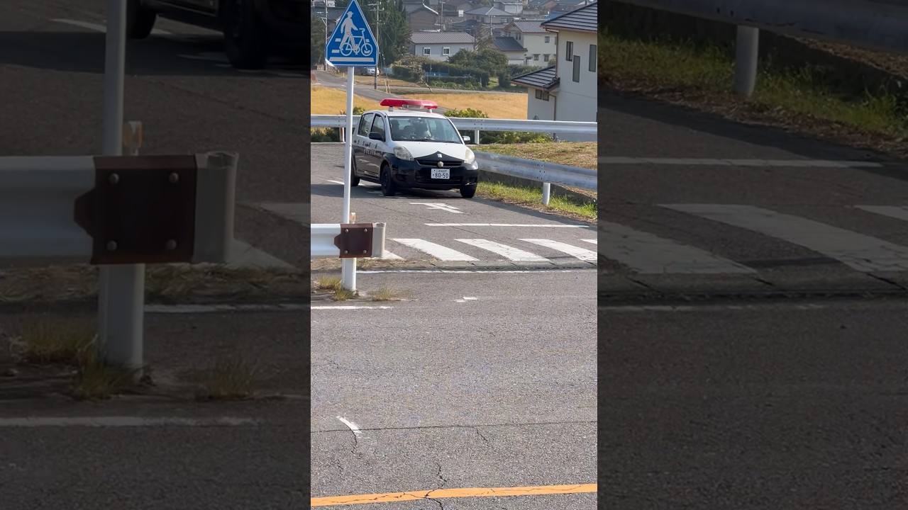 Sneaky Police in Japan#shorts #japan #police