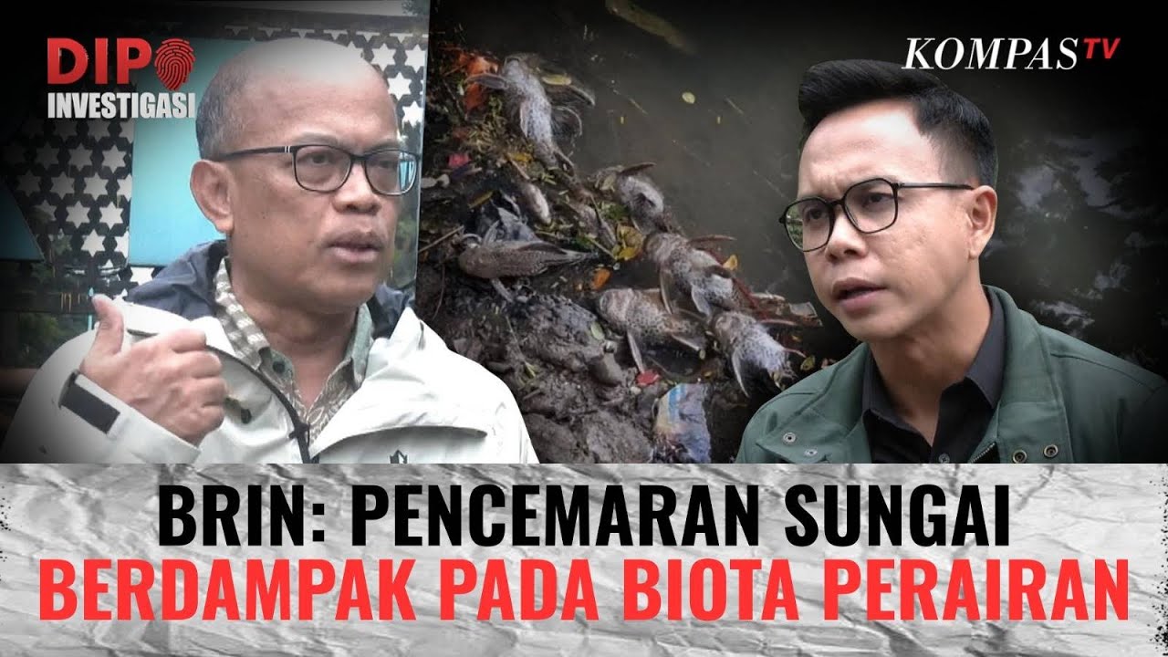 BRIN: Konsumsi Ikan Mati karena Keracunan, Picu Gangguan Kesehatan | DIPO INVESTIGASI