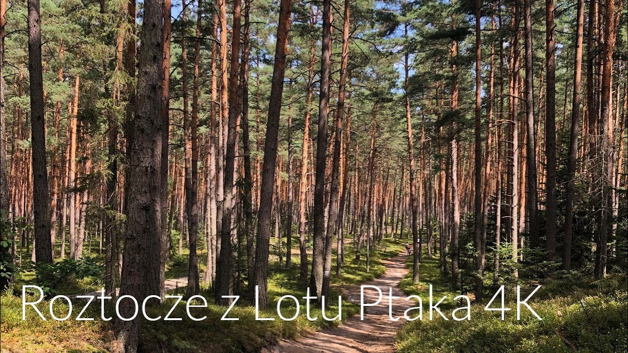 Roztocze Polska z lotu ptaka 4K