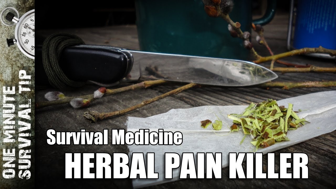 SURVIVAL Pain Relief: Herbal Aspirin from White Willow Bark! (Wilderness Medicine)