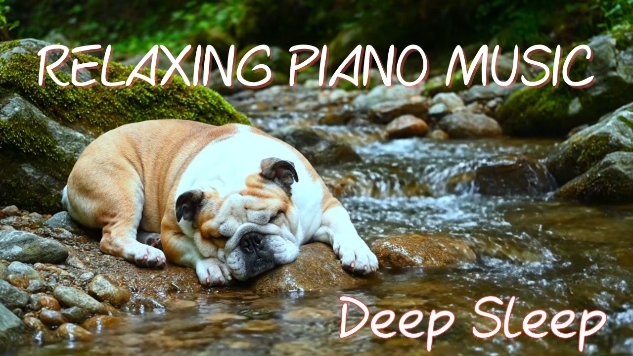 Unwind & Relax Soft Piano Music with a Natural River Backdrop