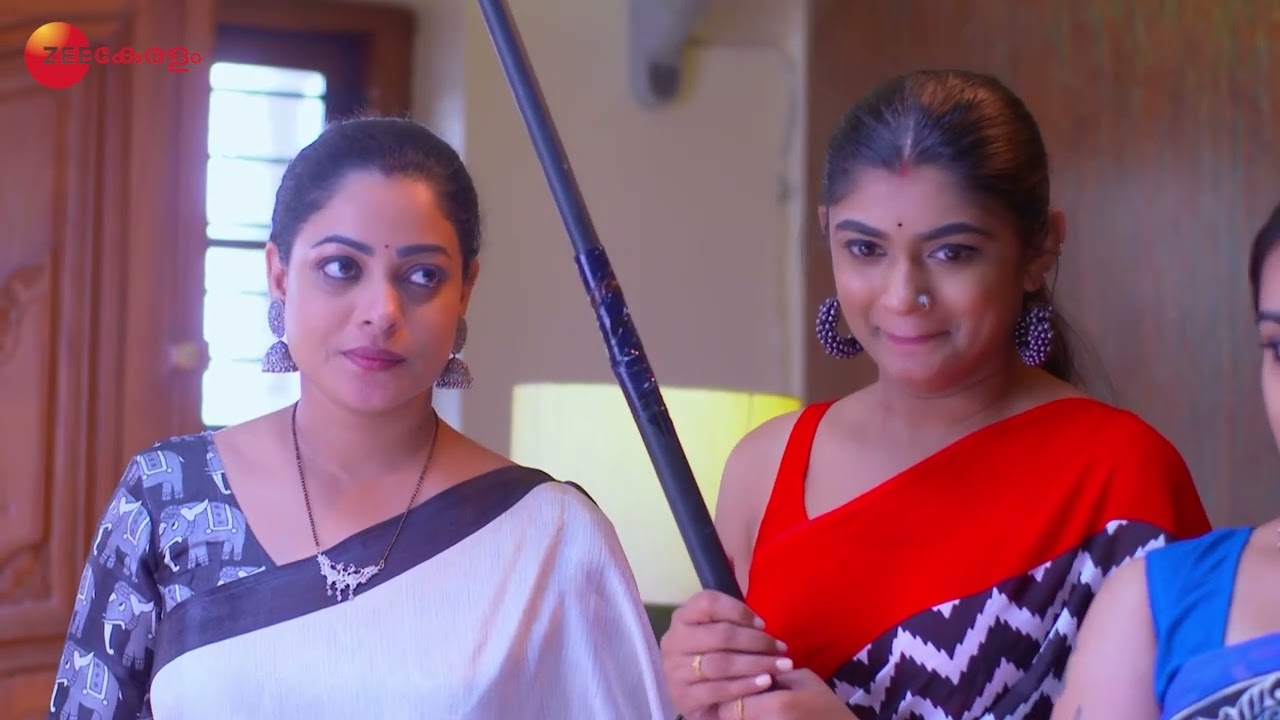 Mrs Hitler - Malyalam TV Serial - Full Episode 331 - Meghana Vincent, Ponnamma babu - Zee Keralam
