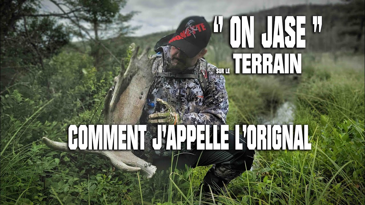 Comment je provoque un orignal AVEC LE CALL sur le terrain #chasse