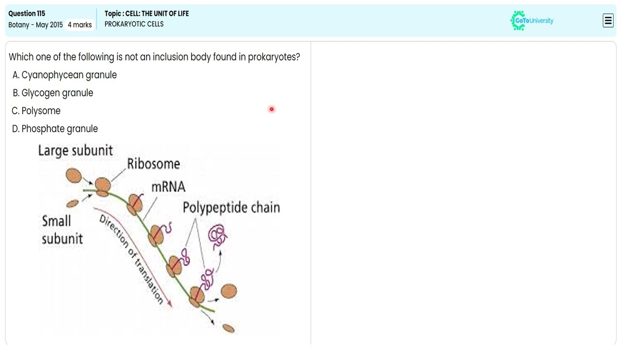 NEET 2015 Botany: Prokaryotic Cells - Key Features and Functions for Q115 | gotouniversity