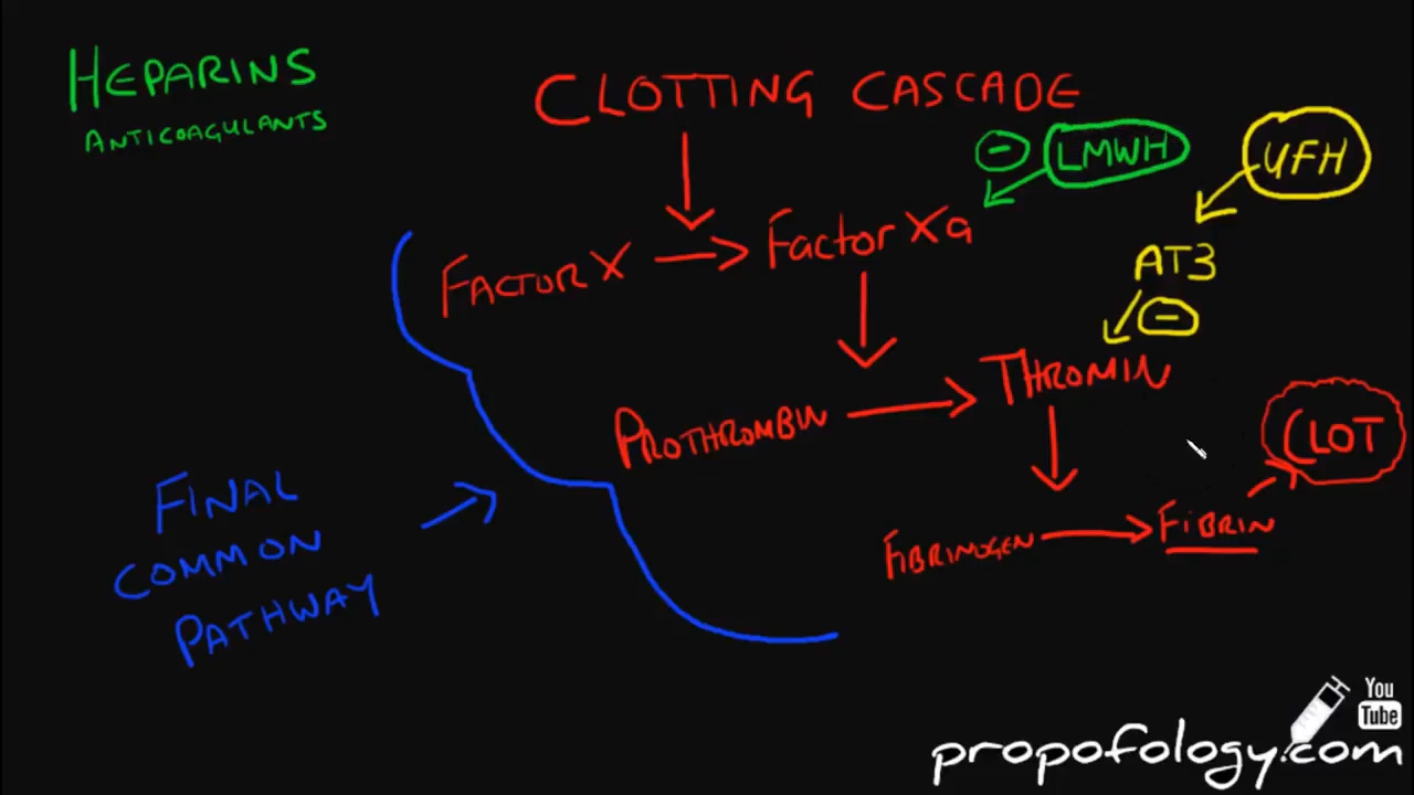 Heparins - Anticoagulate! [Pharmacology]