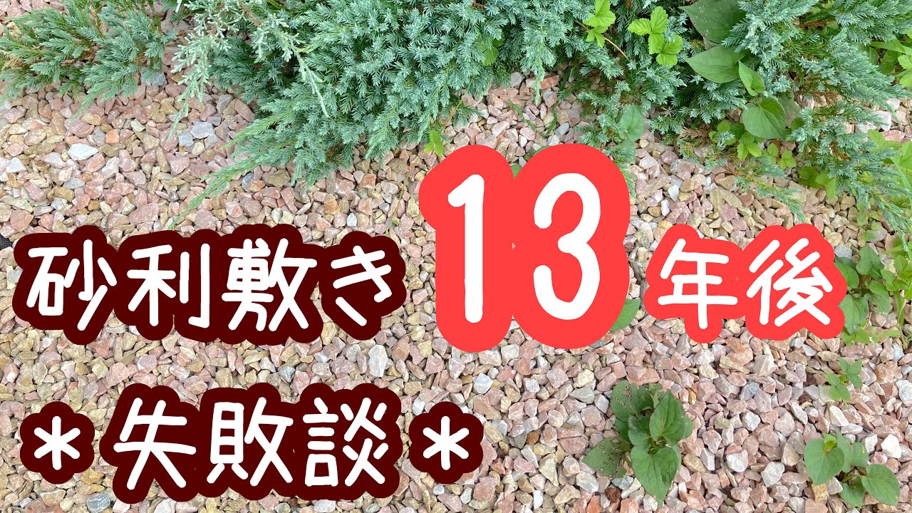 《砂利敷き13年後の姿》失敗だらけの砂利敷き＊最近の庭の様子もご紹介[ガーデニングvlog]