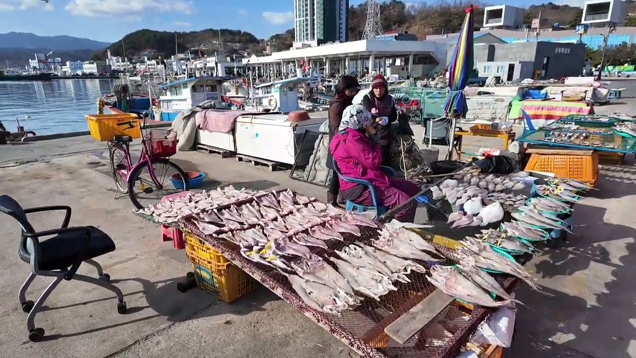 경상북도 울진군 최대 항구 후포면 후포항의 수산물 어판장