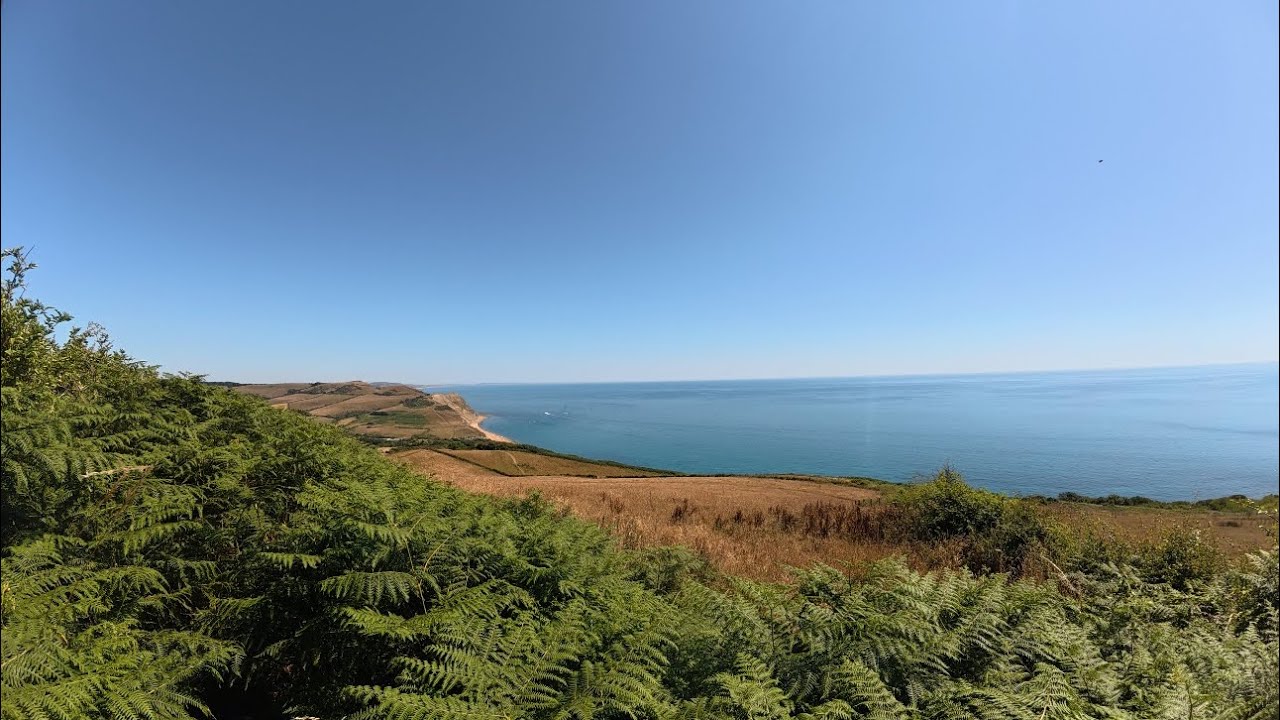 Rock Pooling, Swimming & Wild Camping Golden Cap 🦀