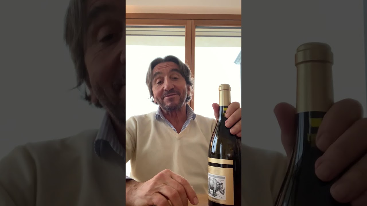 Introduction to La Spinetta