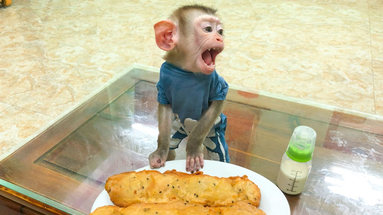 Monkey Bin devoured the banana cake his mother bought