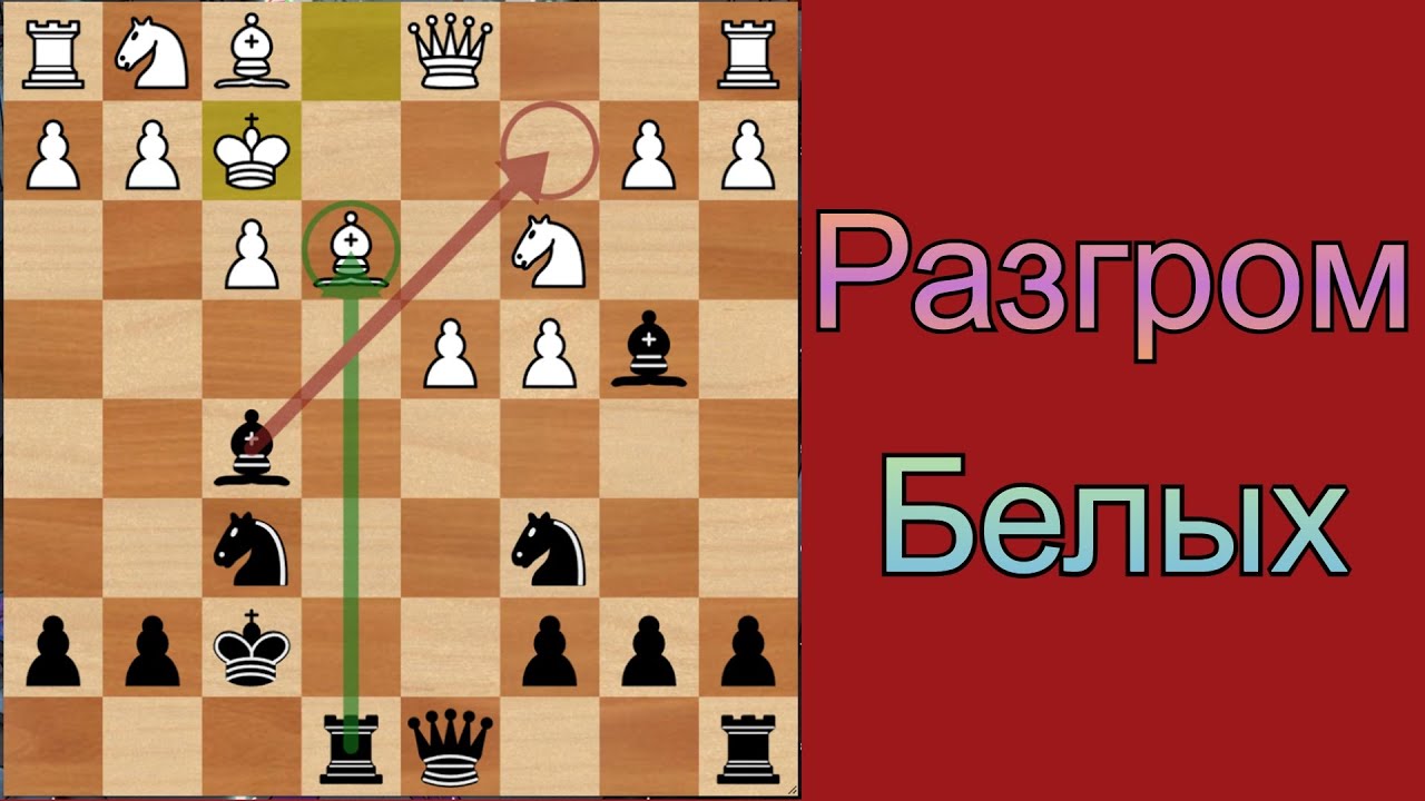 Разгроми белых в скандинавской защите Разбор гамбитных вариантов и не только.
