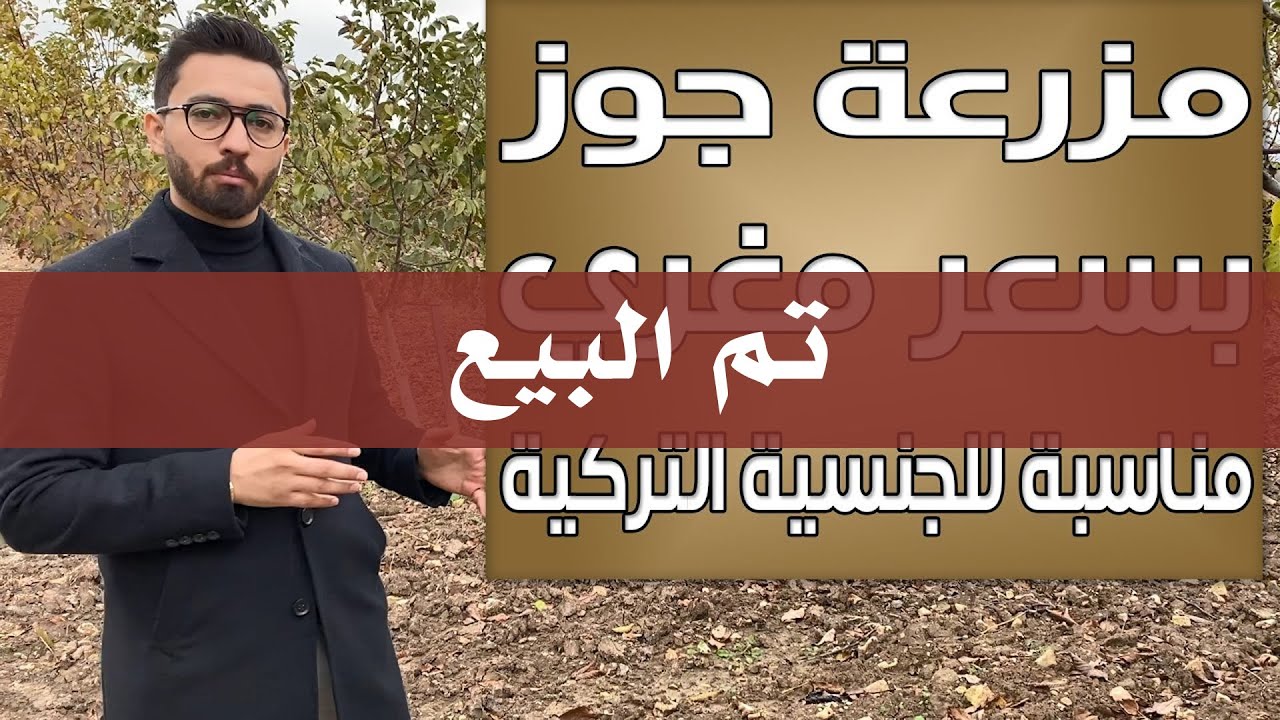 مزرعة جوز 29 دونم بسعر رخيص مناسبة للجنسية التركية - شركة إعمارات العقارية