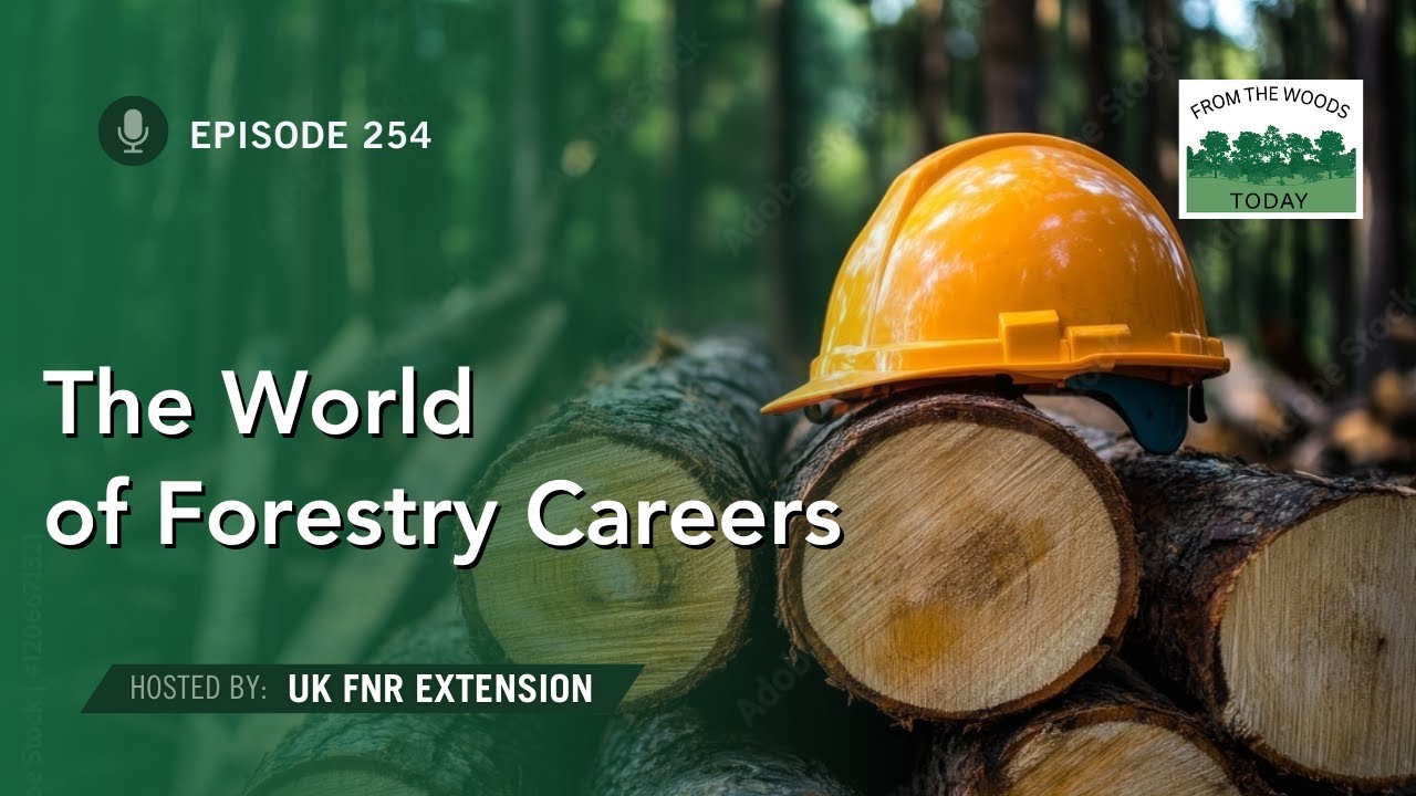 Forestry Careers - From The Woods Today - Episode 254