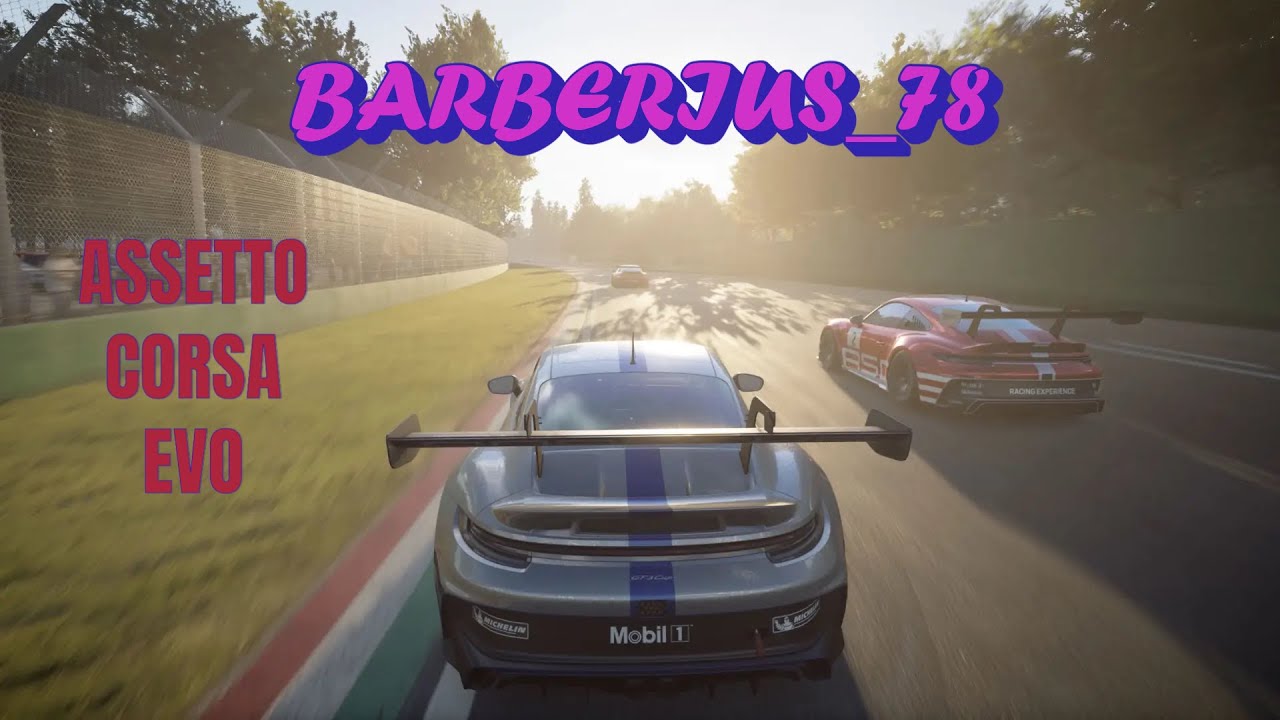 ASSETTO CORSA EVO PASEO POR NURBURGRIN