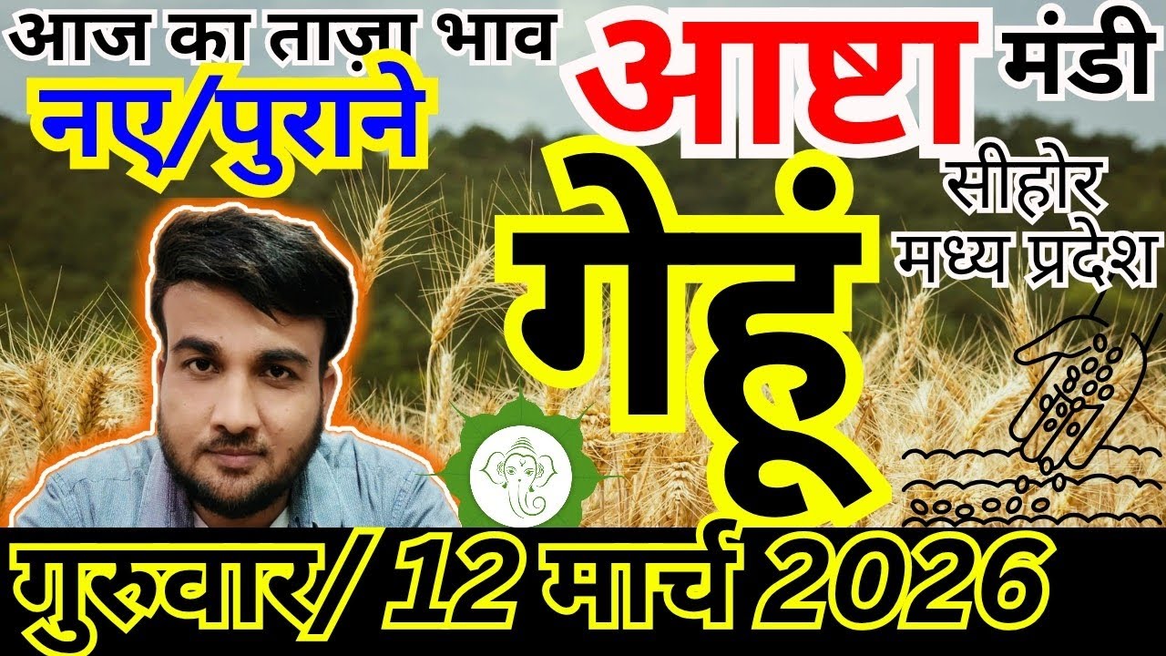 🌾गेहूं में आज क्या रहा रुख? | 12 मार्च 2026 | आष्टा मंडी गेहूं भाव | Sandeep Nagar