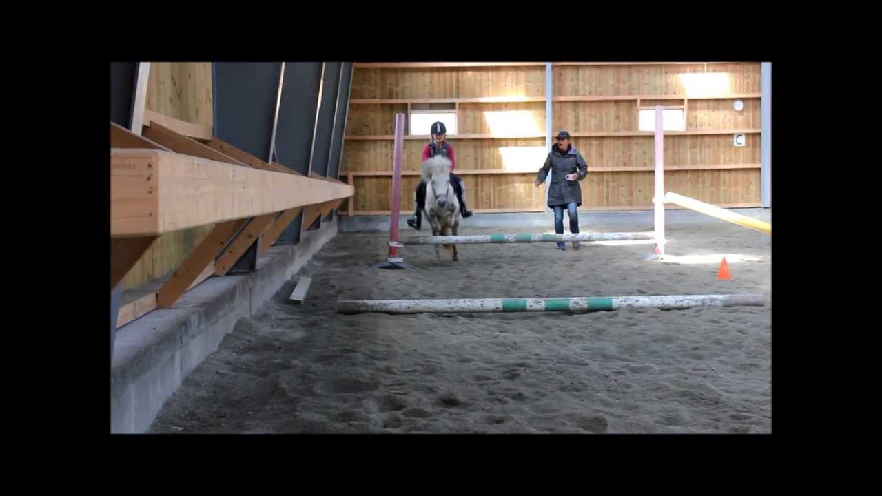 Horse falls and fails! [[Summer 2013]]