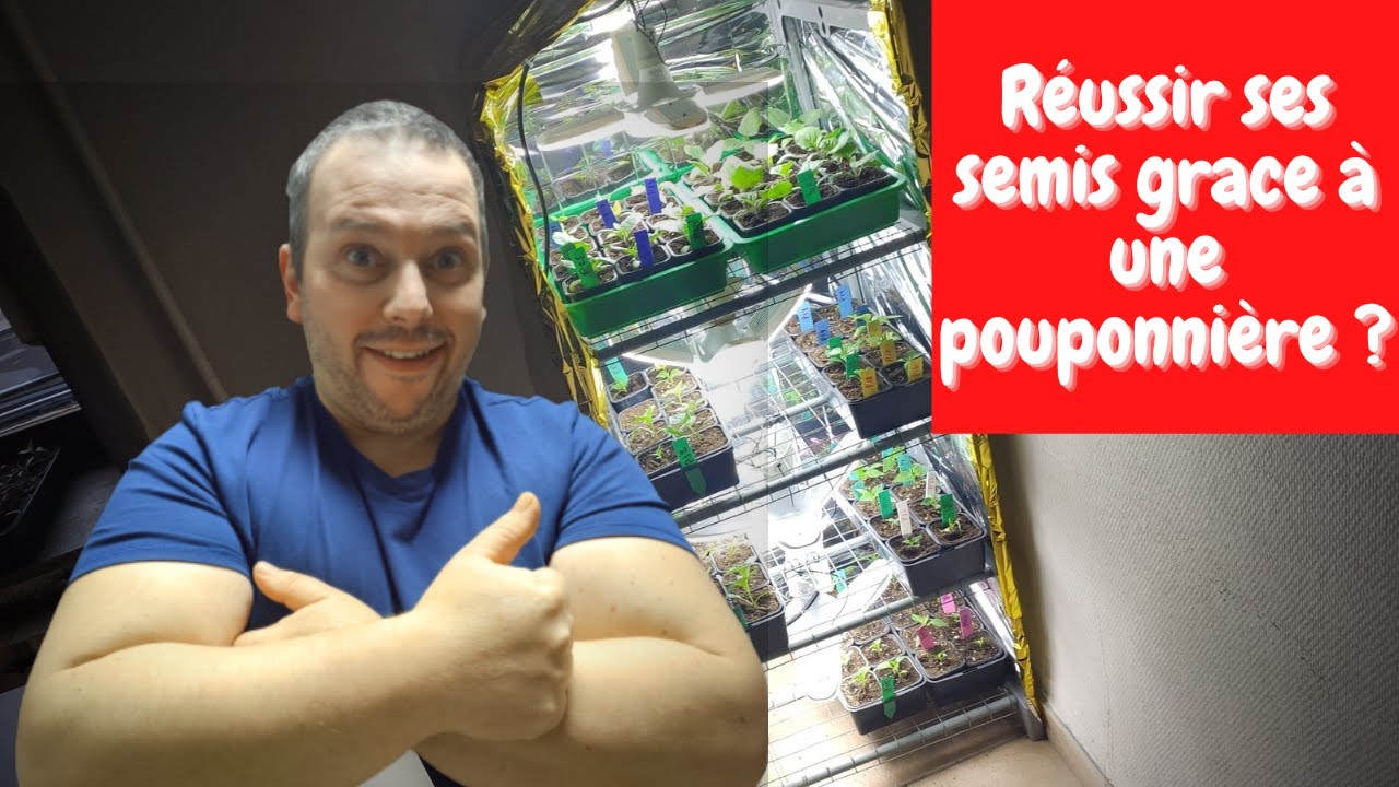 Une pouponnière pour réussir ses semis ?