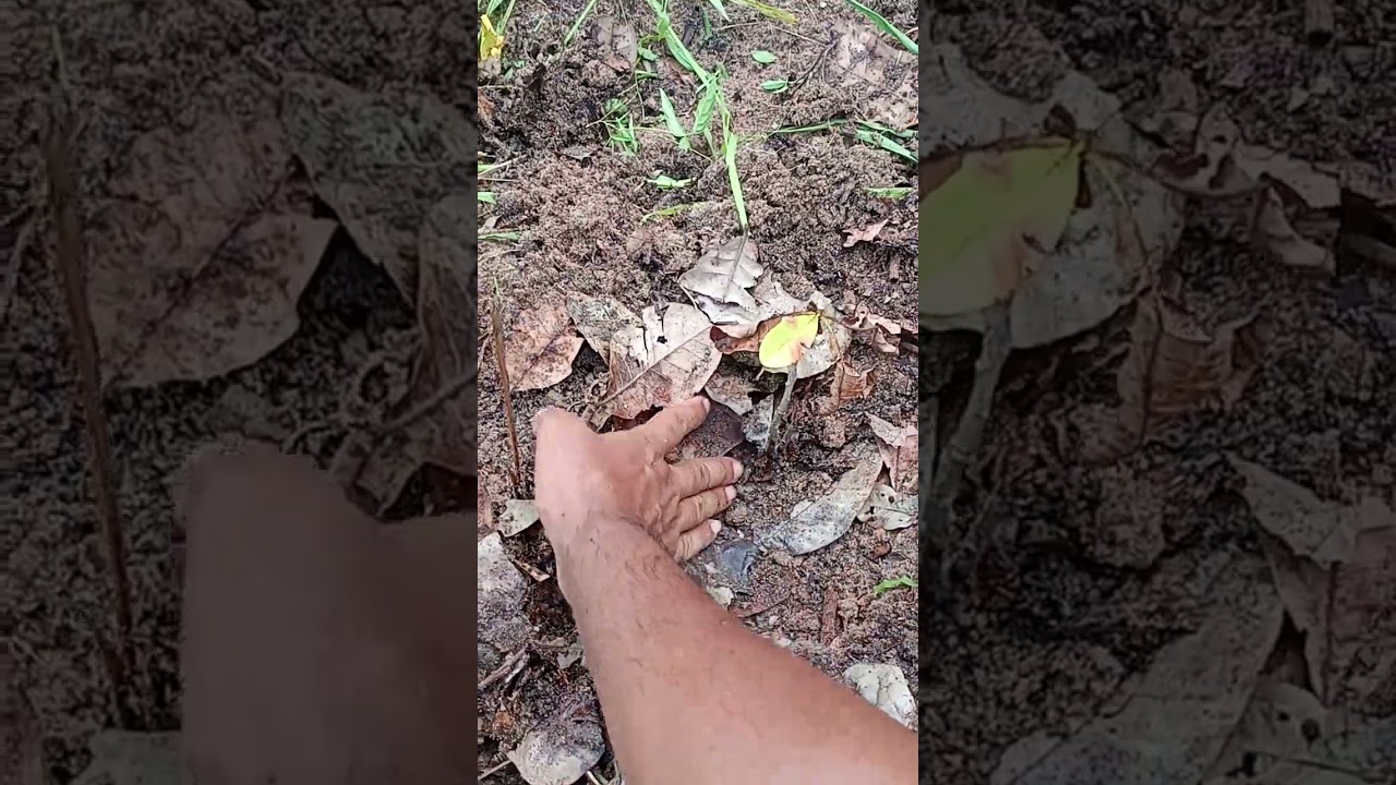 Mas um dia de trabalho obrigado meu Deus