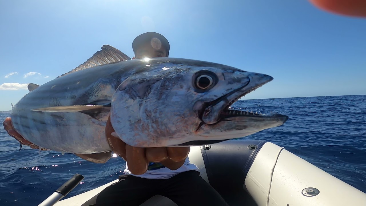 Pesca spinning