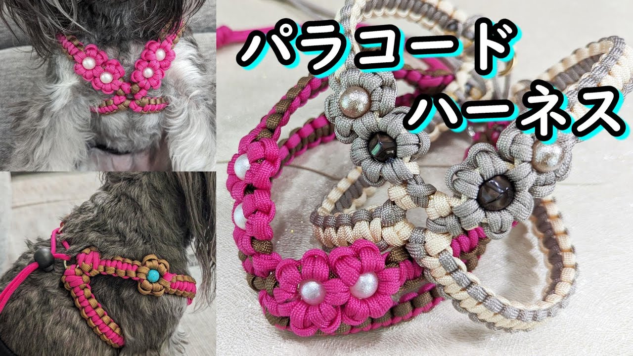 簡単！パラコードハーネス [犬用品][手作り][DIY][paracord]