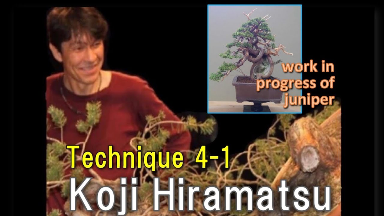 Technique4-1【Koji Hiramatsu Takamatsu Bonsai Channel】