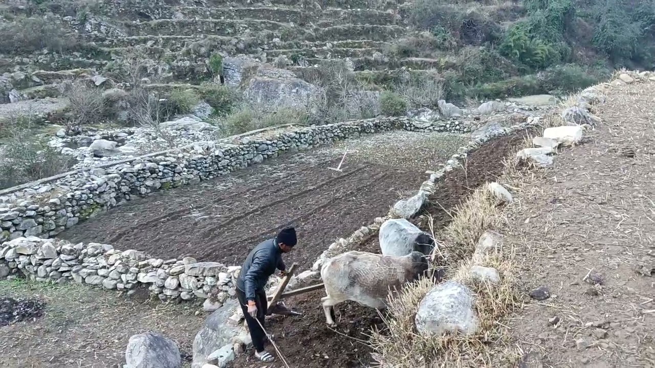 आज है हल का दूसरा दिन दोस्तो ♥️♥️