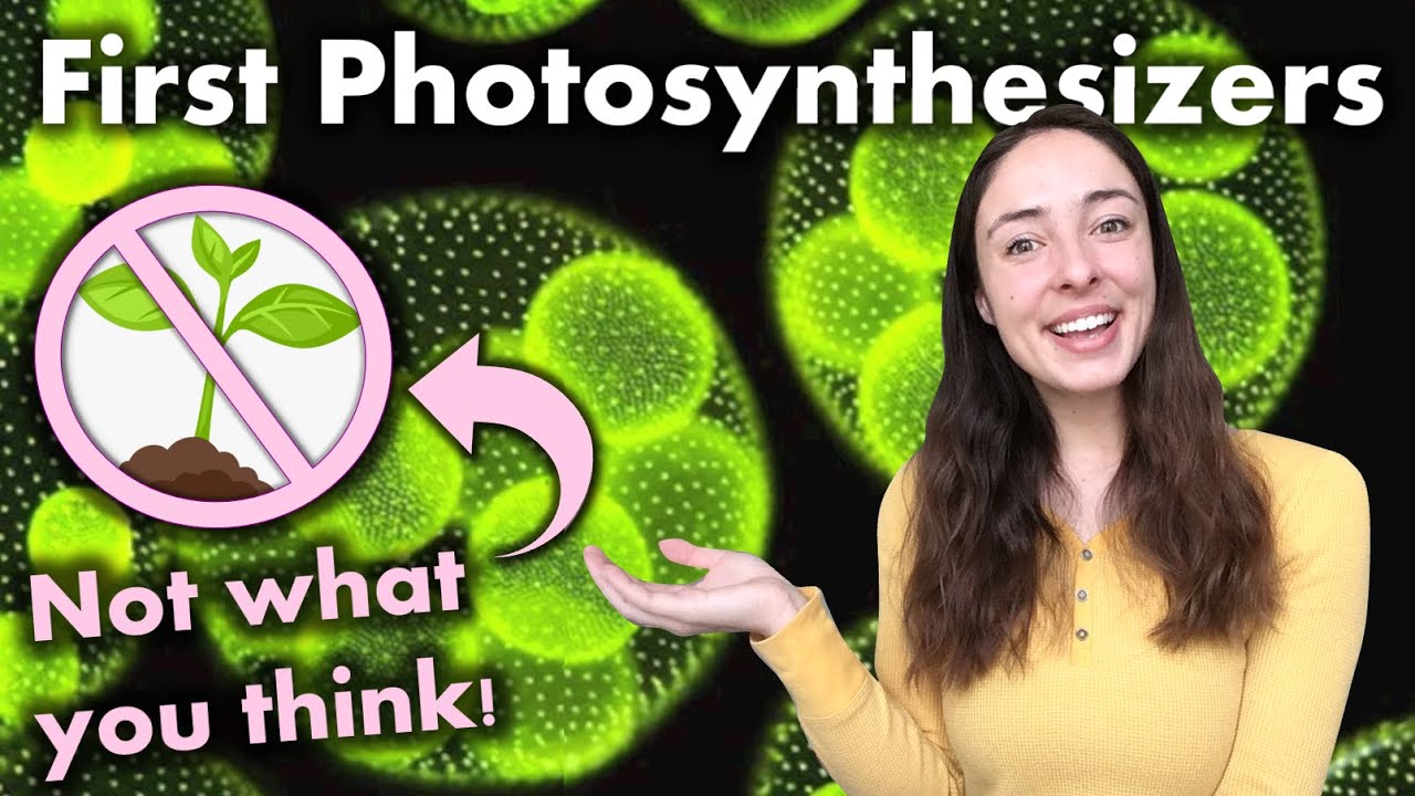 Evolution of Photosynthesis: Were Anoxygenic or Oxygenic Phototrophs First? | GEO GIRL