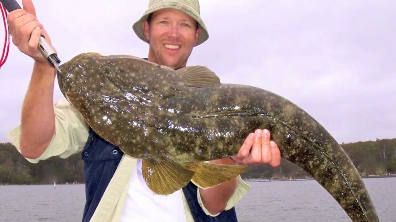 REEL IT IN -  