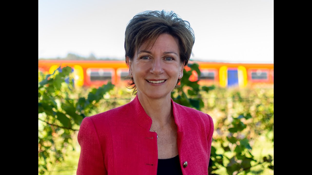 Diane James MEP on Euronews 11 December 2018