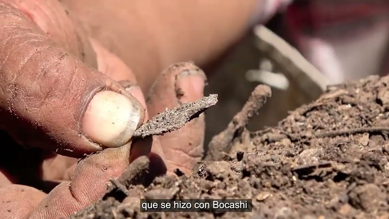 Complejo Agroecol&oacute;gico