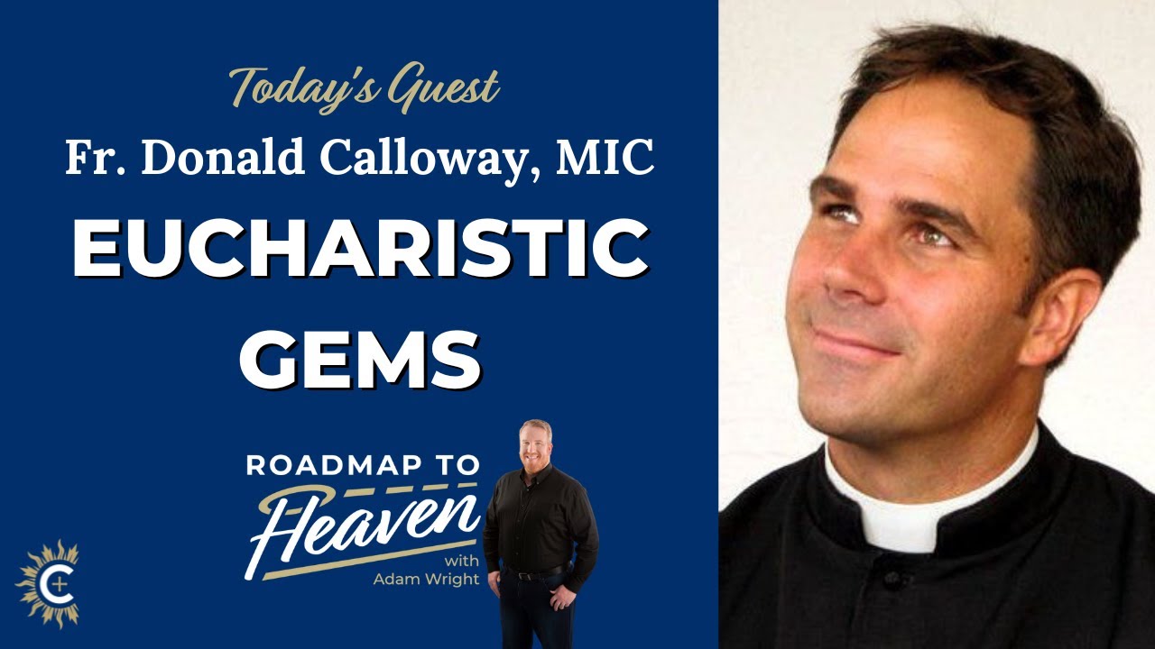 Father Donald Calloway, MIC 