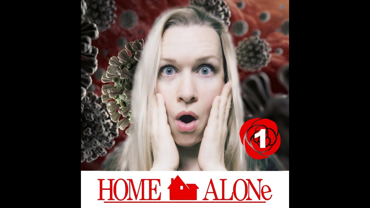 Home Alone #1 (German/Engl. Subtitles): 
