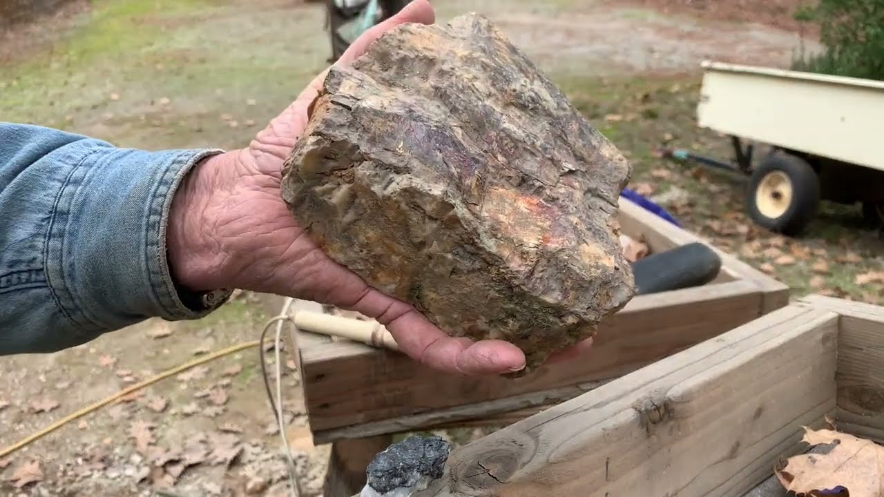 Falcon MD20 finds specimens