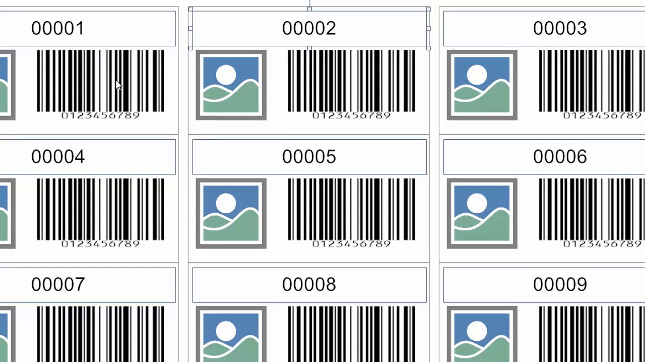 Labeljoy 6 - Cómo usar contadores incrementales