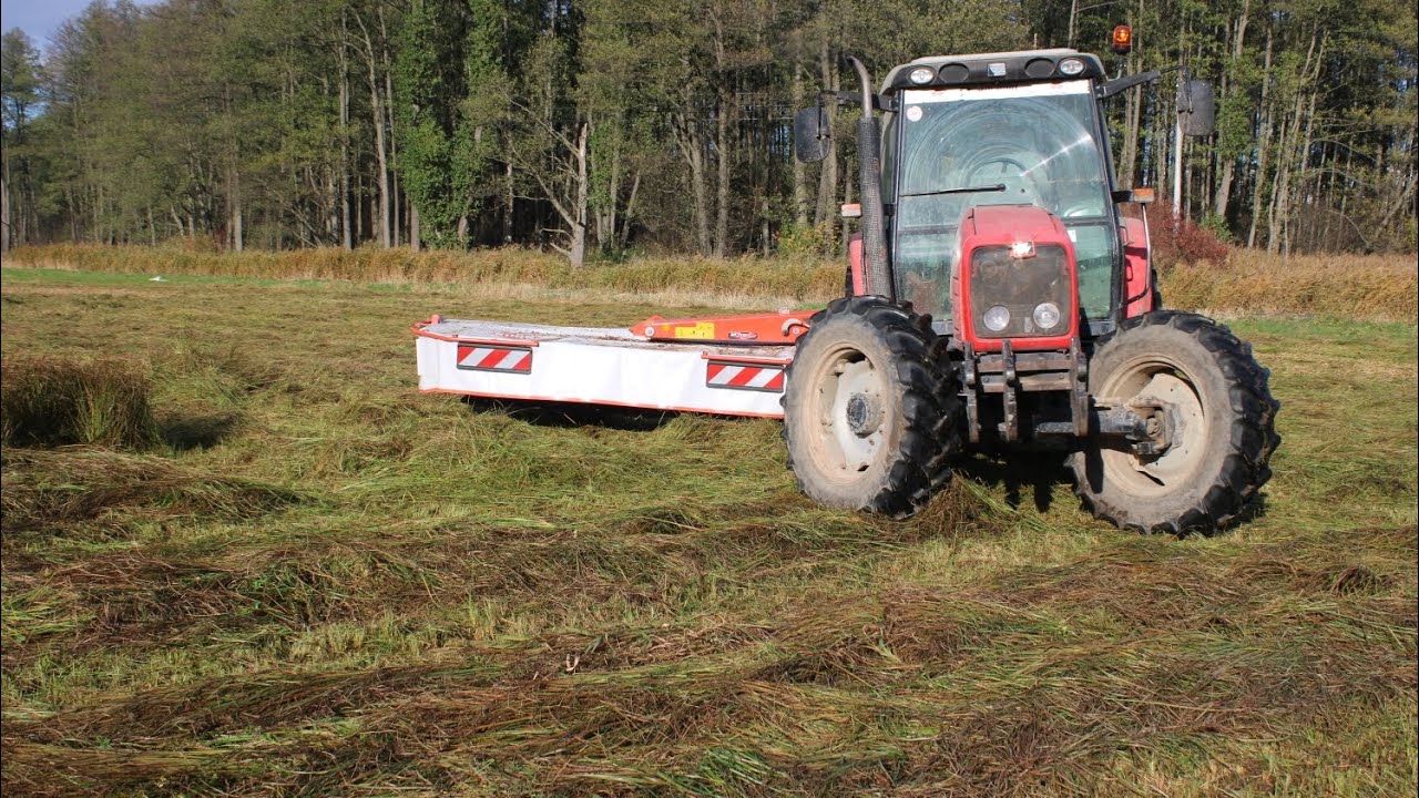 KOSZENIE TRAWY=MASSEY =FERGUSON 5455 Z KUHN GMD 3111