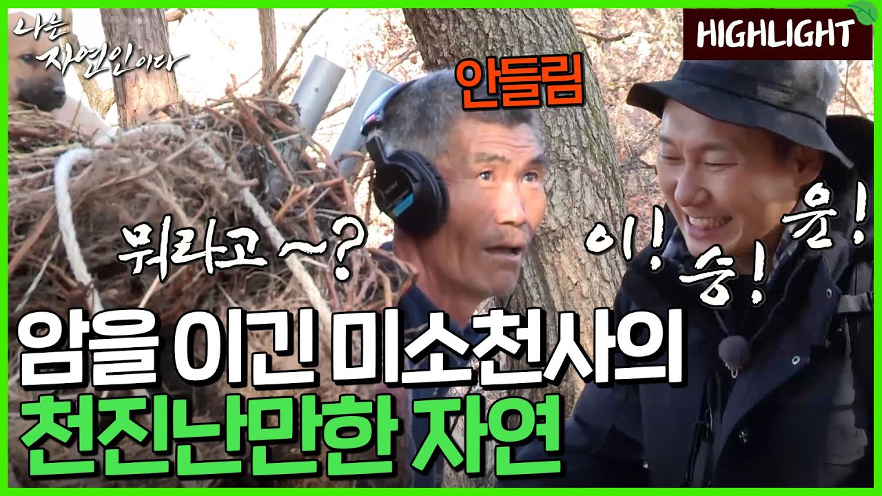 자연에서 보너스 인생을 사는 자연인의 이야기｜자연인 하이라이트 378회