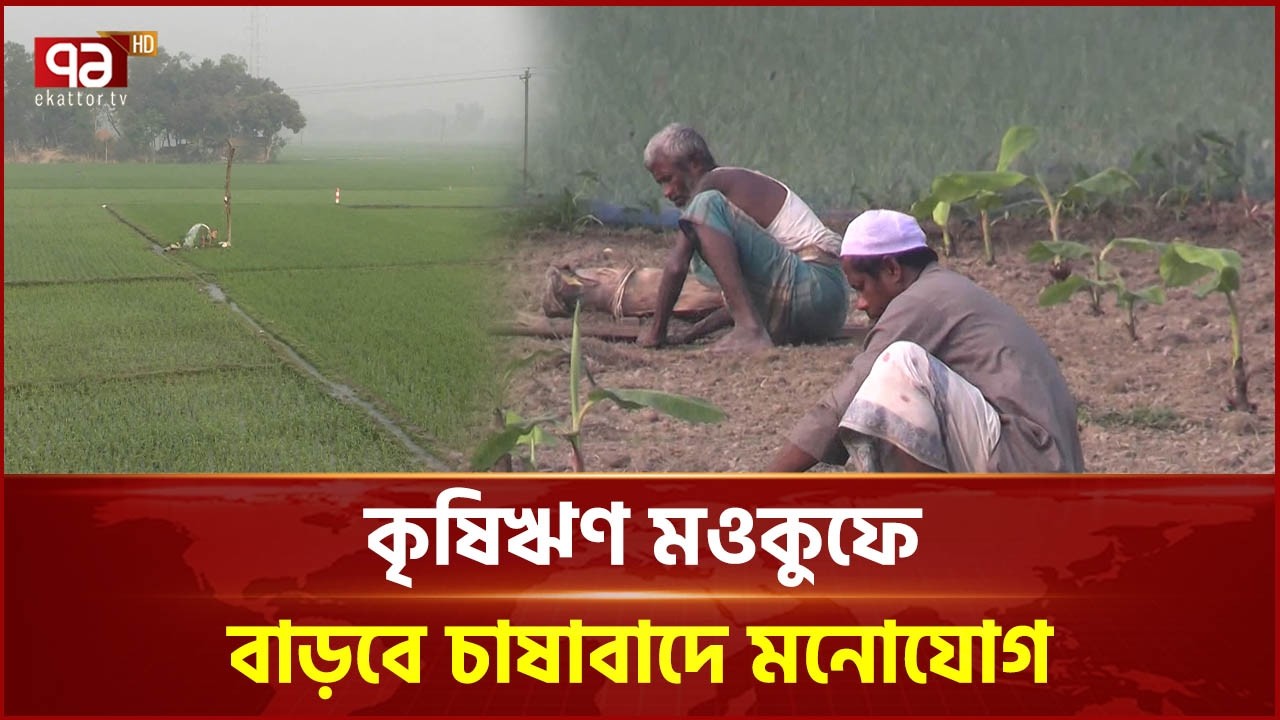 ১০ হাজার টাকা পর্যন্ত কৃষিঋণ মওকুফে প্রান্তিক কৃষকদের স্বস্তি | Agricultural Loans | Ekattor TV