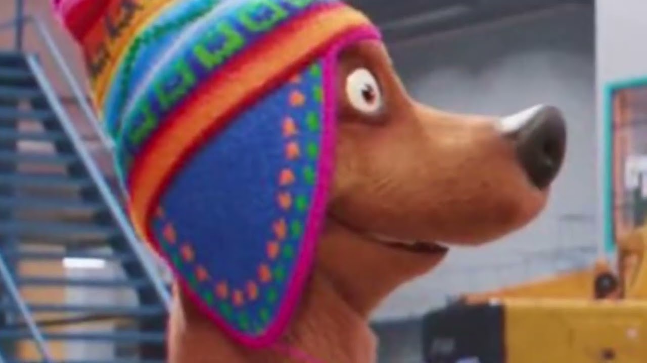 Sing 2 Dog With Hat
