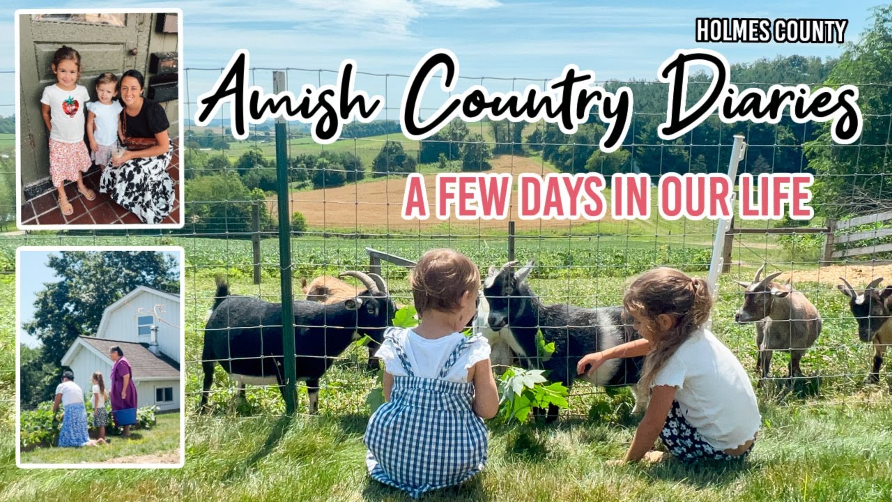 Spend a Few Days with Us In Holmes County | Amish Country Diaries | Lynette Yoder